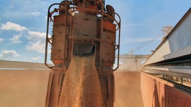 Se anticiparán US$ 2.500 millones por exportaciones de trigo.