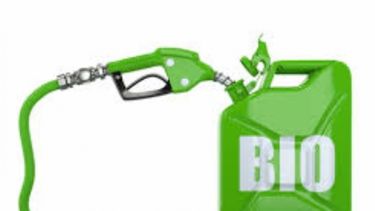 Cálculos privados indican que la producción de biocombustibles alcanzaría un récord