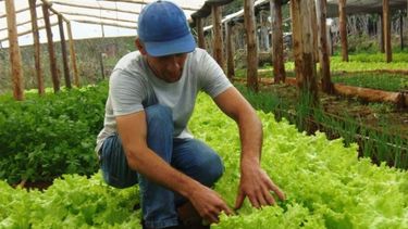 Agricultura familiar: renuevan automáticamente la inscripción en el registro sanitario