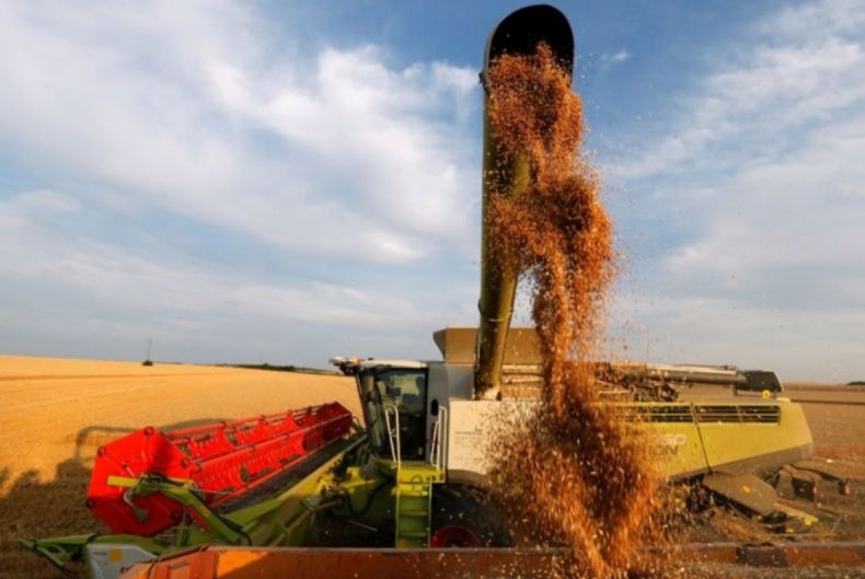 Acopiadores de cereales buscan que Agricultura tengan un rol mayor