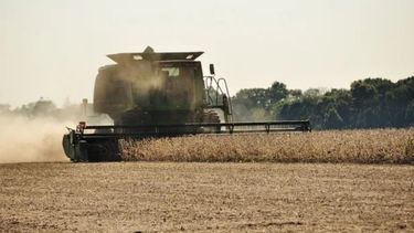 El complejo sojero aportaría US$7.300 millones menos que en 2022