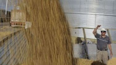 La molienda de oleaginosas creció casi un 15% en abril