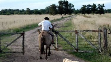 El problema del empleo también pega fuerte en el campo