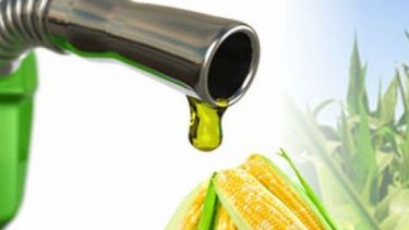 Argentina redujo hasta un 65 por ciento la emisión de GEI