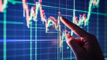 Los cambios que tuvo el sector en 2024.