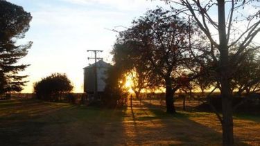 El índice de actividad inmobiliaria rural marcó su mejor número en tres años