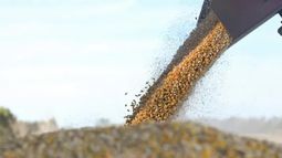 El agro argentino sigue siendo potencia mundial.