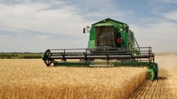 Avanzan con el pago de compensaciones para PYMES productoras de soja