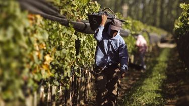 Los aumentos en los salarios de los trabajadores de Viña y Bodega.&nbsp;&nbsp;