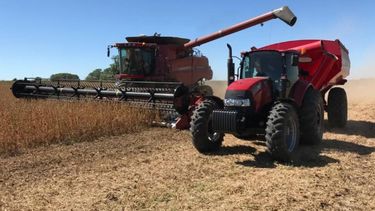 El agro exportó más de 12 millones de toneladas en 14 ruedas