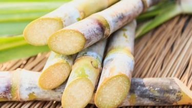 Aumento más de 10% el precio del bioetanol a base de caña