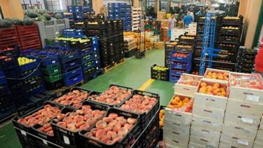 Siguen en alza las exportaciones de carne y frutas