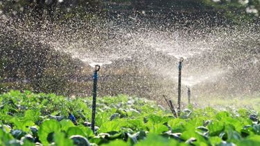Una mayoría de expertos considera que falta tecnificar al campo