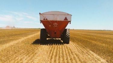 Siguen los progresos en la cosecha gruesa dentro de la zona núcleo