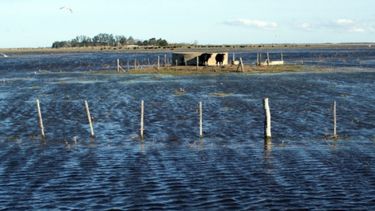 Por inundaciones, productores apelan a la ayuda de Gobiernos provinciales