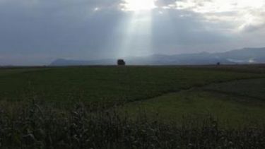 Buenas noticias para el maíz y la soja: llegan las lluvias