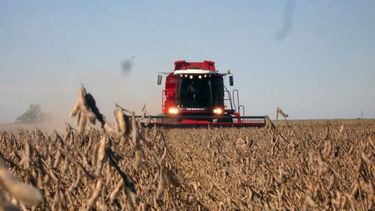 Señales positivas sobre la cosecha de soja