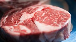 El ingreso del producto al país norteamericano.