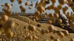 Impulsan la importación de soja como insumo