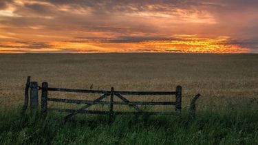 Cómo enfrenta el campo los efectos de la devaluación