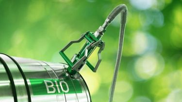 Habrá un plazo de 18 años para que las mezclas con combustibles fósiles sean producidas en instalaciones situadas en Argentina.