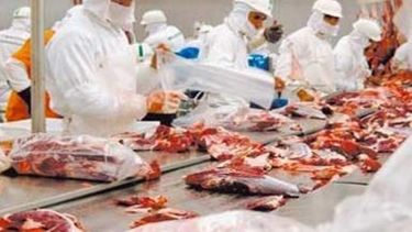 La retracción económica empieza a sentirse en los frigoríficos