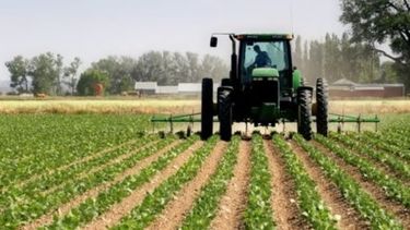 El Gobierno ajustó por inflación la categoría de la PYME agropecuaria