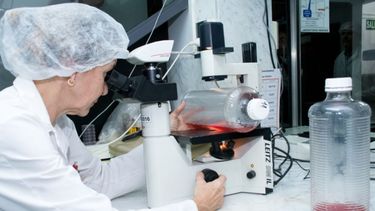 Argentina tendrá por primera vez una vacuna aviar desarrollada en el país