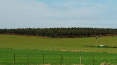 Muestran cómo evitar mermas en los rindes de los cultivos de invierno