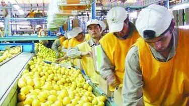 Economías regionales se ven afectadas por caída en las ventas al Mercosur