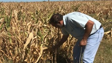 El BP extiende la asistencia a productores afectados por sequía