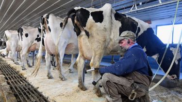 "Impulso Tambero" lleva inscriptos a 3.650 productores