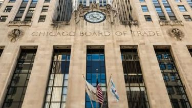 La soja cortó racha alcista en Chicago