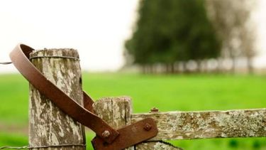 Productores siguen preocupados por el revalúo provincial