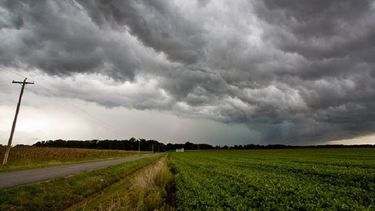 Las lluvias han sido esenciales para recargar los perfiles de suelo y proporcionar la humedad necesaria para el crecimiento de los cultivos, graficó la Bolsa de Comercio de Rosario.