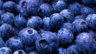 El consumo local de arándanos creció más de 250 por ciento