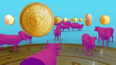 La empresa que te invita a invertir en el negocio ganadero a través de una criptomoneda