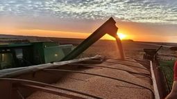 Apyme pide compensar a pequeños productores que venden soja