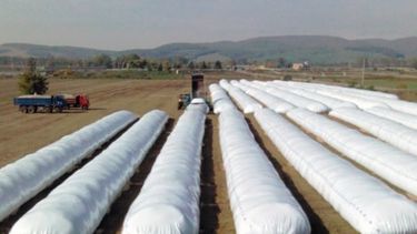 El negocio de las silobolsas puede generar una ganancia de US$ 500 millones