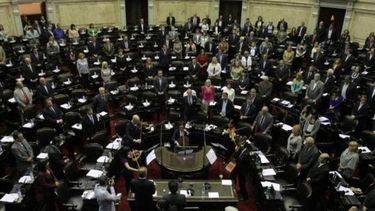 Diputados hizo ley proyecto para proteger acciones del Estado en privadas