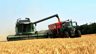 La cosecha de trigo superó las 22 millones de toneladas y llegó a un récord