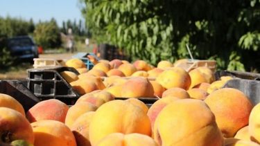 Estudian cambios en los beneficios a economías regionales