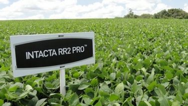 Productores sojeros reciben gesto de parte Monsanto