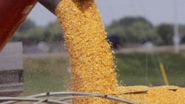 Confirman que el agro argentino tuvo un buen comienzo del 2017