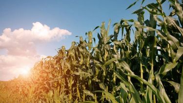 Logran acuerdo para solucionar el conflicto con el campo