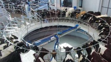 Tamberos se mostraron descontentos tras la confirmación de nuevos subsidios