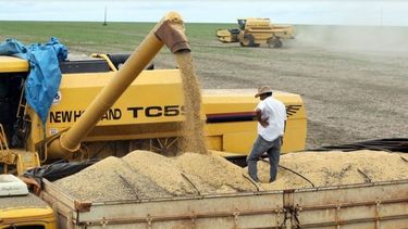 Subieron la previsión de la cosecha de soja brasileña
