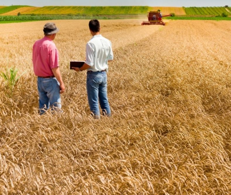 Destacan la importancia de los seguros en el mundo rural