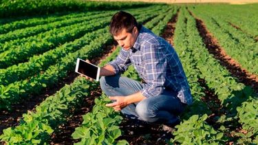 Estrenan una comunidad digital para que productores compartan datos