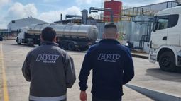 La maniobra consistía en adquirir el insumo a través de compradores ficticios, puntualizó Aduana.